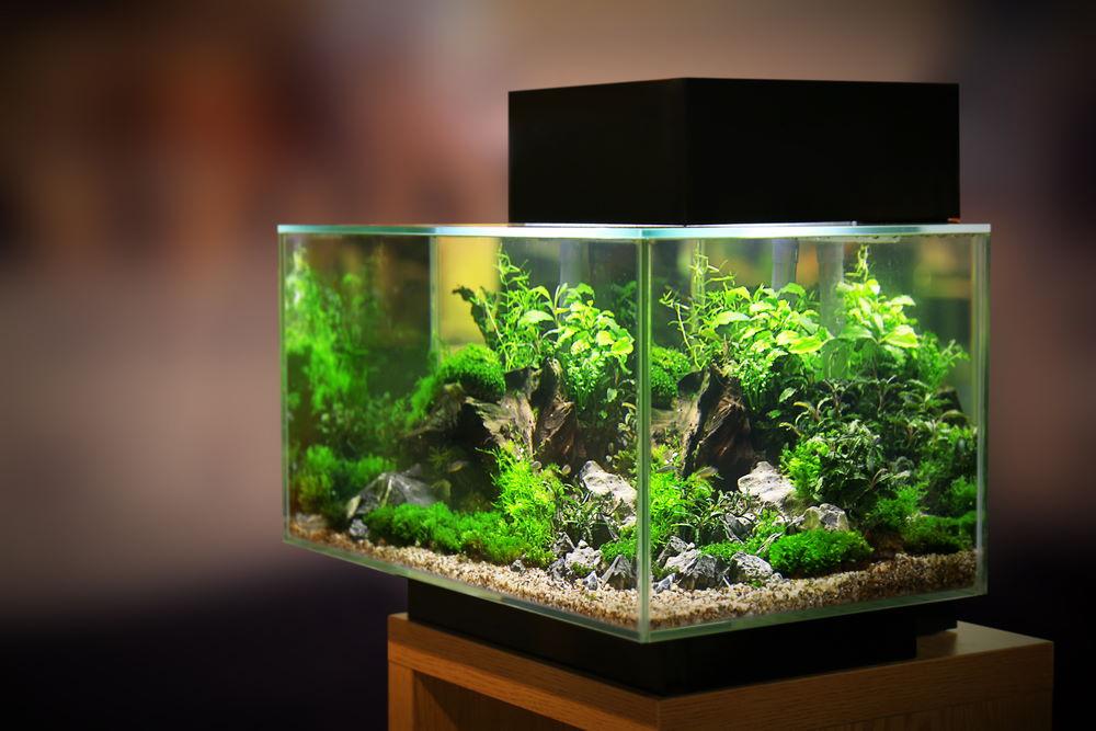 Aquarium Co-Op Easy Plant LED  Aquarium Lighting for Planted Tanks