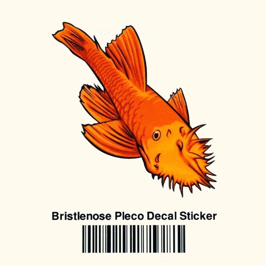 Bristlenose Pleco Decal Sticker