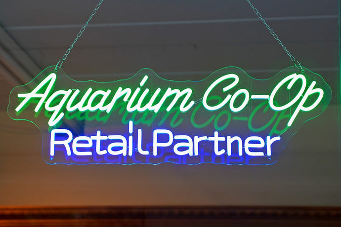 How to Join the Aquarium Co-Op Wholesale Program