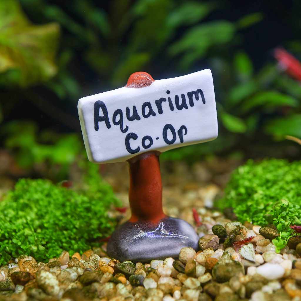 Aquarium Co-Op Ceramic Sign, Fish Tank Decorations