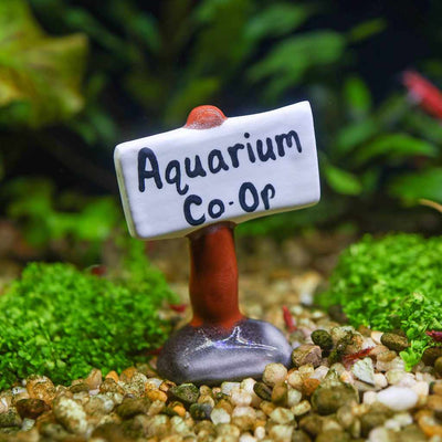 Custom Merchandise Aquarium Co-op Aquarium Co-Op Decorations