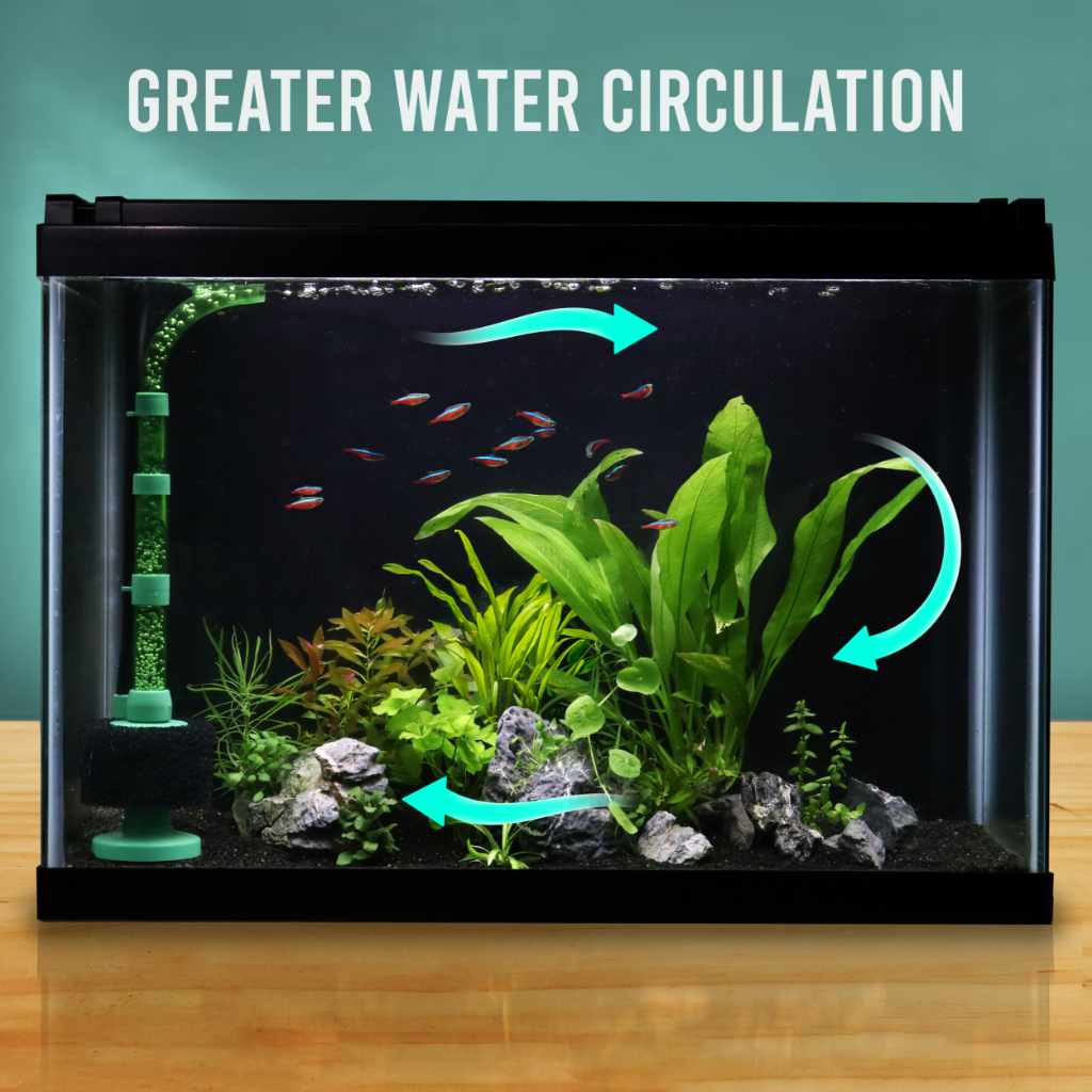 Best filter for 10 gallon tank best sale