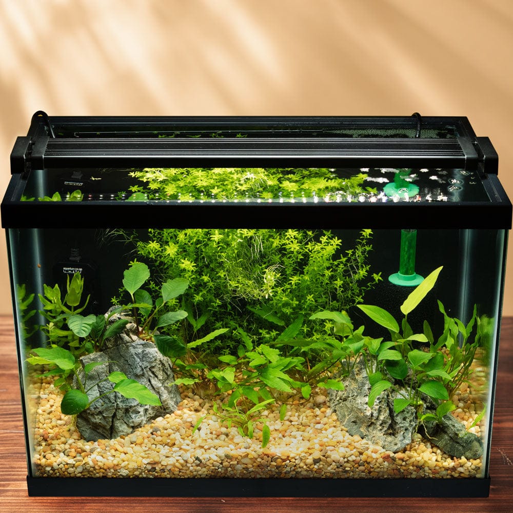 Aquarium Co op Easy Plant LED 12