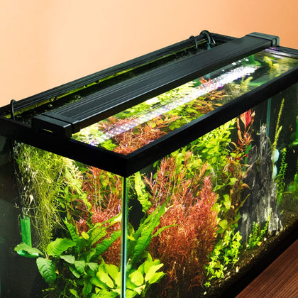 aquarium-co-op-easy-plant-led-light-32636304228421