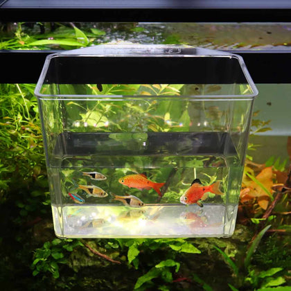 aquarium-co-op-tough-specimen-container-810055290628-34423665000517