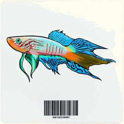 blue-gularis-killifish-decal-sticker-00810055290901-31666977734725