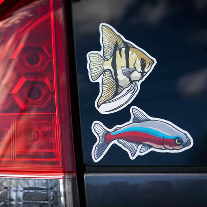 cardinal-tetra-decal-sticker-272893648-31465819111493