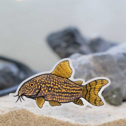 corydoras-decal-sticker-277624711-31465825763397