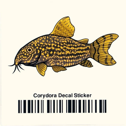 corydoras-decal-sticker-277624711-31666973835333