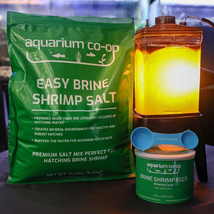 easy-brine-shrimp-salt-810055290031-32626811732037