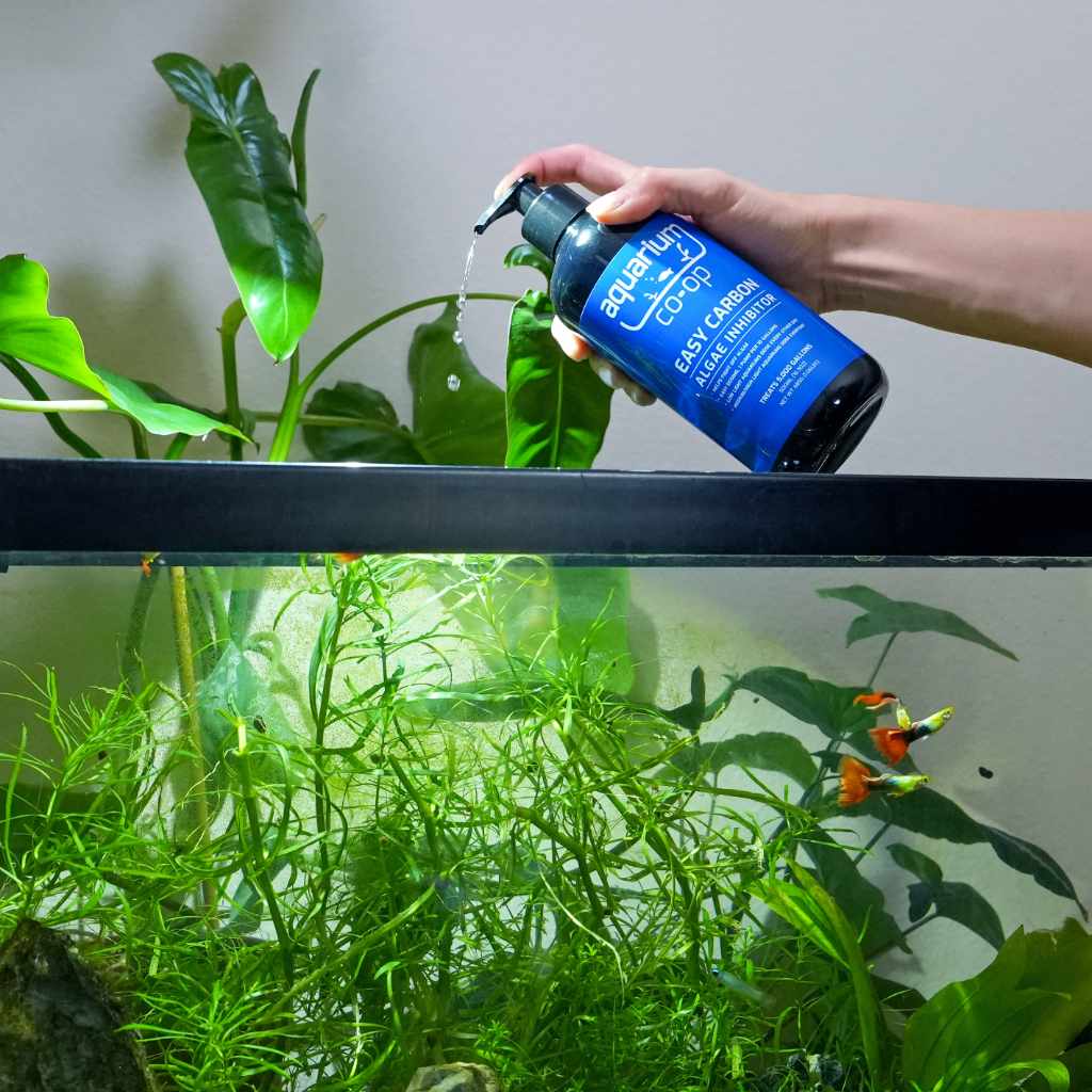Dropship Fish Tank Cleaning Algae Tablets Biological Effective
