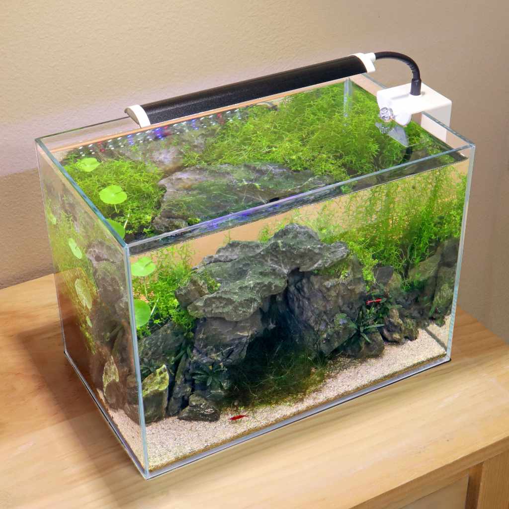 Finnex aquarium light best sale