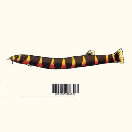 kuhli-loach-decal-sticker-00810055290833-31666986352709