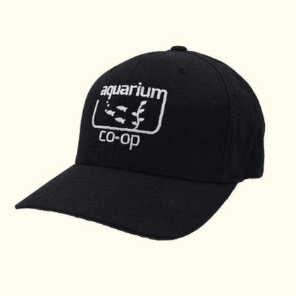 large-xl-aquarium-co-op-hat-256679483-33375327912005