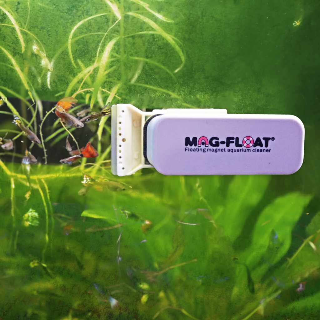 Mag-Float Glass Aquarium Cleaner  Floating Magnetic Algae Remover –  Aquarium Co-Op