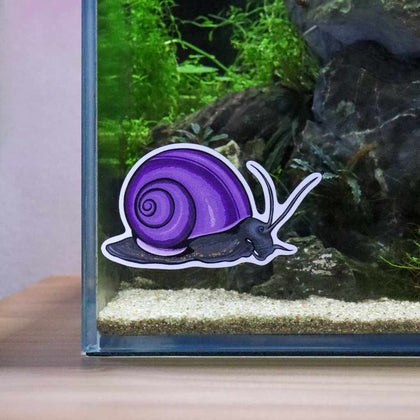 mystery-snail-decal-sticker-00810055290741-32651382849605