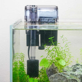 RLECS Filtre éponge noir pour aquarium - Filtre éponge unique pour pompe à  air d'aquarium : : Animalerie