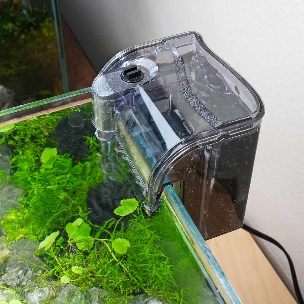 Mini Aquariums: The Pros & Cons of Small Fish Tanks