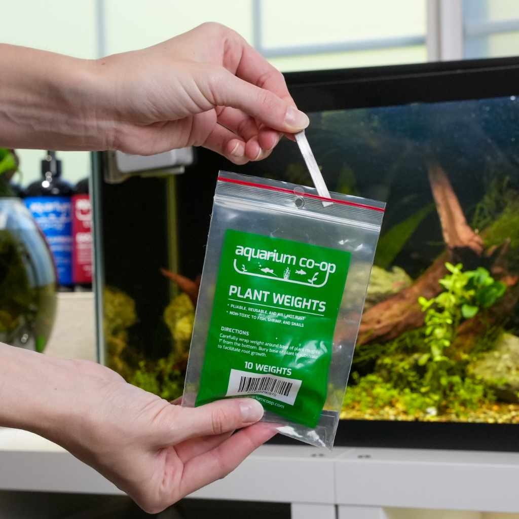 Aquarium Plant Weights  Fish Tank Supplies for Live Aquatic Plants –  Aquarium Co-Op