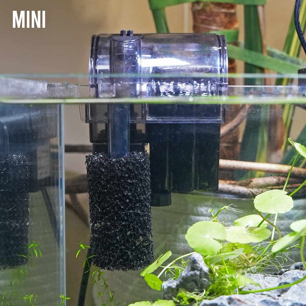 Orders mini sponge filter