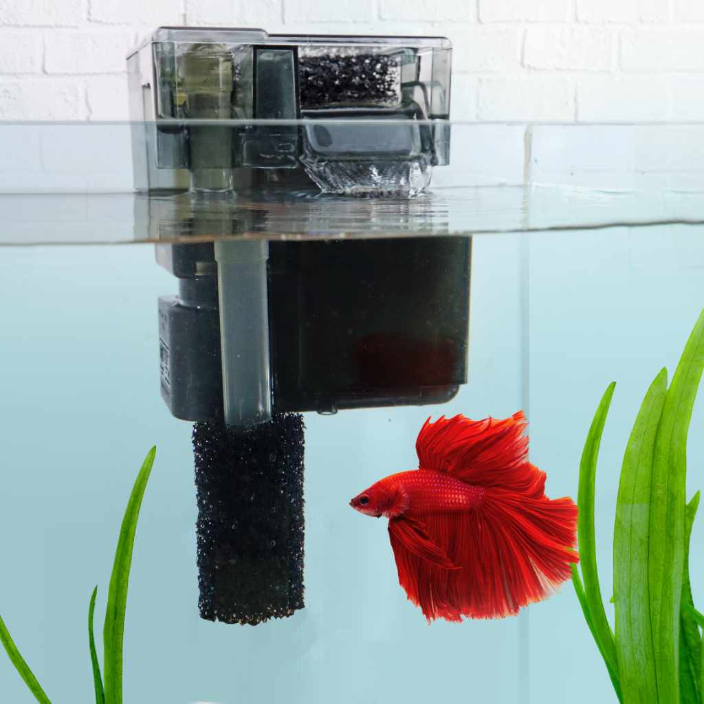 Intake Pre Filter Sponges Aquarium Filter Accessory for Fish Tanks Aquarium Co Op