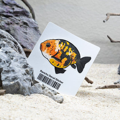 ranchu-decal-sticker-00810055290581-31465838542917