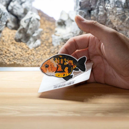 ranchu-decal-sticker-00810055290581-31465838575685