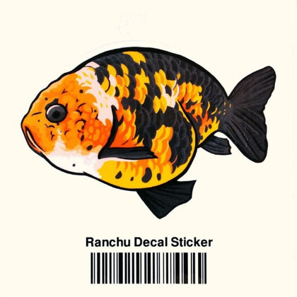 ranchu-decal-sticker-00810055290581-31666979471429