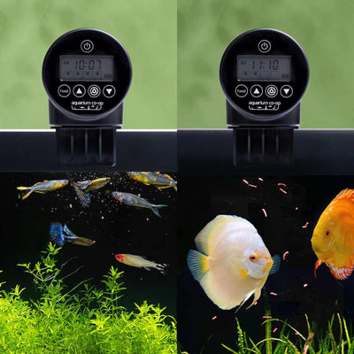 small_auto_feeder_different_sizes_discus