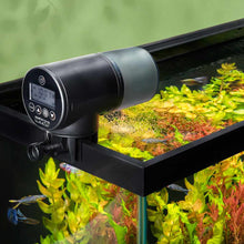 Load image into Gallery viewer, Aquarium Co-Op Auto Feeder
