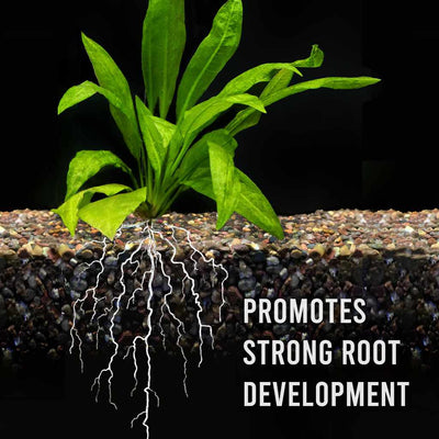 small_root_tabs_big_roots