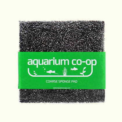 sponge-pad-coarse-256560429-32488719319109