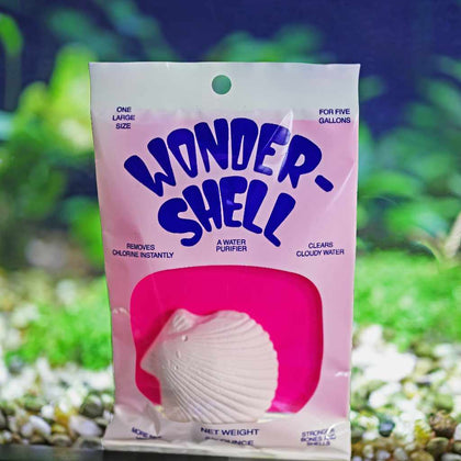 wonder-shell-32259354230853