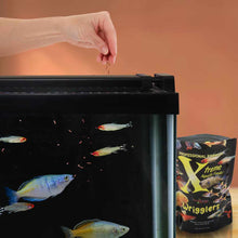 Load image into Gallery viewer, Xtreme Fish Food Xtreme Wrigglers
